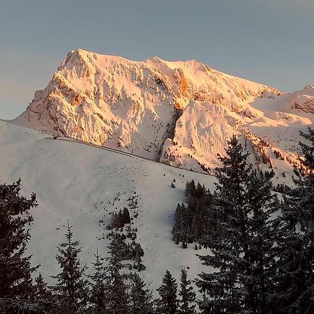 Appartement T2 Col De Merdassier Au Pied Des Pistes 마니고 외부 사진