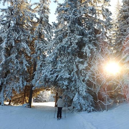 Appartement T2 Col De Merdassier Au Pied Des Pistes 마니고 외부 사진